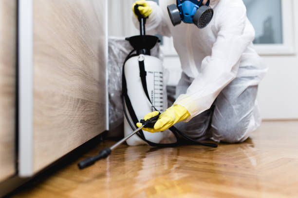 Best Commercial Pest Control Services  in Galva, IL