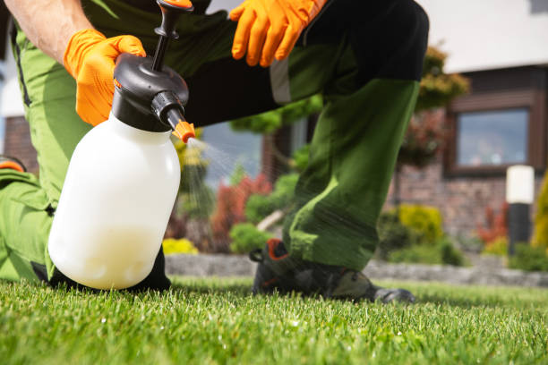 Best Exterminator Services  in Galva, IL