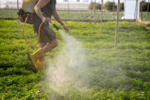 Best Commercial Pest Control Services  in Galva, IL
