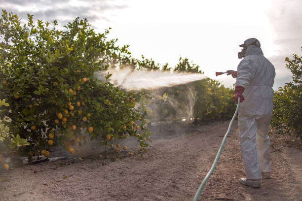 Best Emergency Pest Control  in Galva, IL