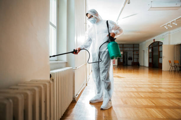 Trusted Galva, IL Pest Control Experts