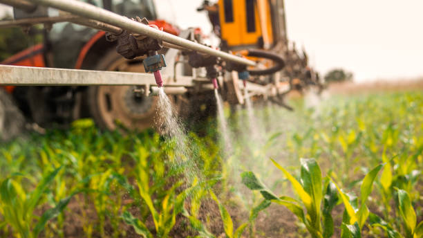 Best Pest Removal Services  in Galva, IL
